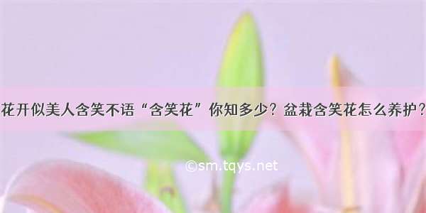 花开似美人含笑不语“含笑花”你知多少？盆栽含笑花怎么养护？