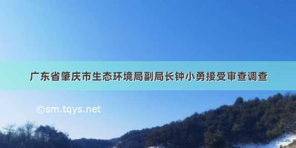 广东省肇庆市生态环境局副局长钟小勇接受审查调查