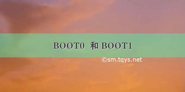 BOOT0  和 BOOT1