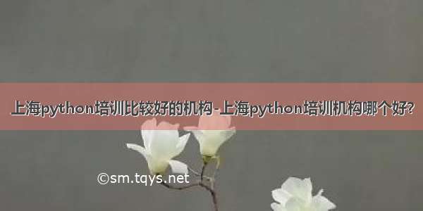 上海python培训比较好的机构-上海python培训机构哪个好？