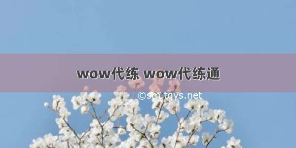 wow代练 wow代练通