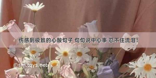 伤感到极致的心酸句子 句句说中心事 忍不住流泪！