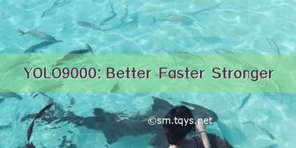YOLO9000: Better  Faster  Stronger