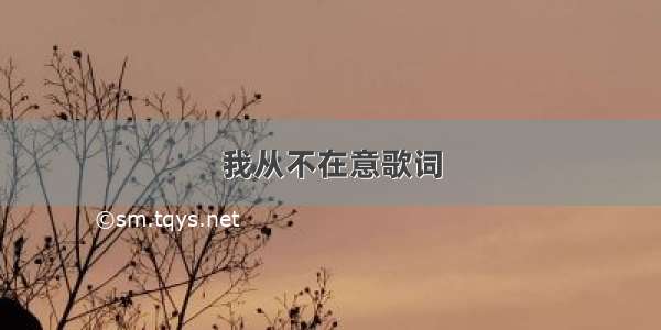 我从不在意歌词