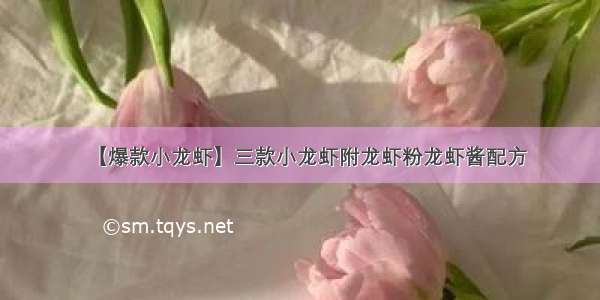 【爆款小龙虾】三款小龙虾附龙虾粉龙虾酱配方