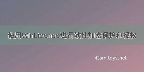 使用WinLicense进行软件加密保护和授权