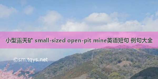 小型露天矿 small-sized open-pit mine英语短句 例句大全