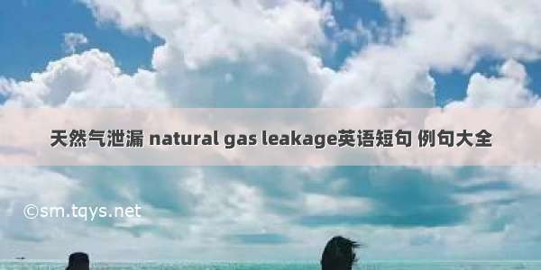 天然气泄漏 natural gas leakage英语短句 例句大全