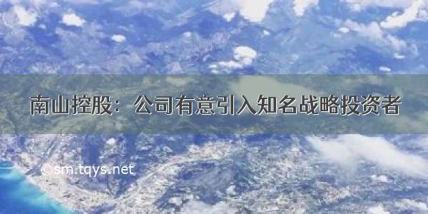 南山控股：公司有意引入知名战略投资者