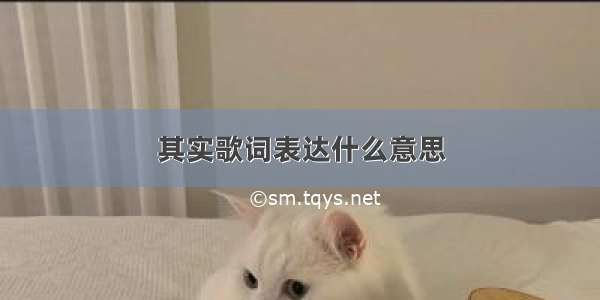 其实歌词表达什么意思