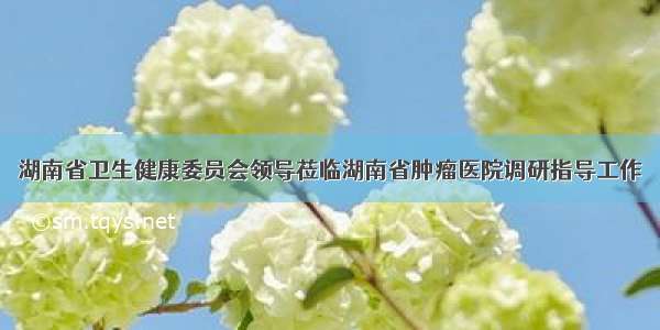 湖南省卫生健康委员会领导莅临湖南省肿瘤医院调研指导工作