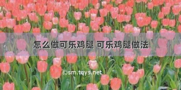 怎么做可乐鸡腿 可乐鸡腿做法