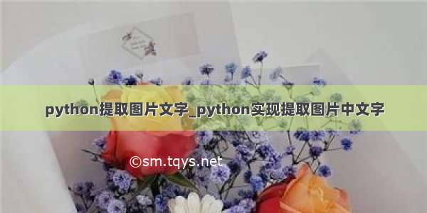 python提取图片文字_python实现提取图片中文字