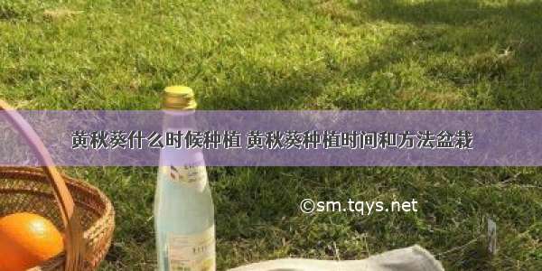 黄秋葵什么时候种植 黄秋葵种植时间和方法盆栽