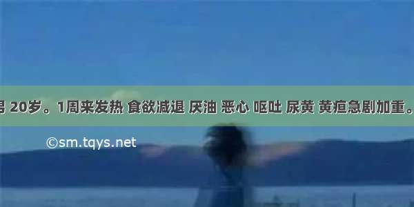 患者 男 20岁。1周来发热 食欲减退 厌油 恶心 呕吐 尿黄 黄疸急剧加重。近2天