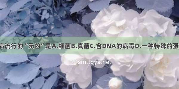 引起欧洲疯牛病流行的“元凶”是A.细菌B.真菌C.含DNA的病毒D.一种特殊的蛋白质（朊病毒）