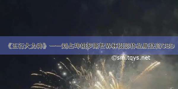 《五行大力神》——刘占坤俄罗斯世界杯摄影作品展登高CBD