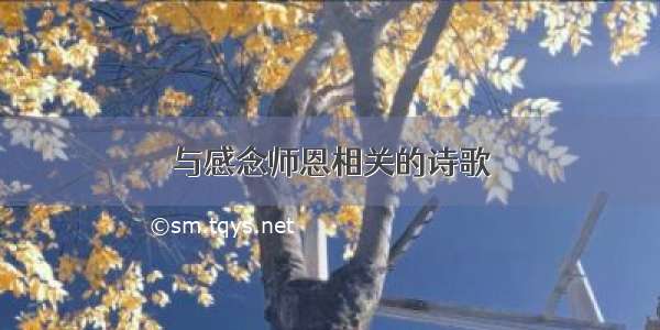 与感念师恩相关的诗歌