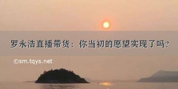 罗永浩直播带货：你当初的愿望实现了吗？