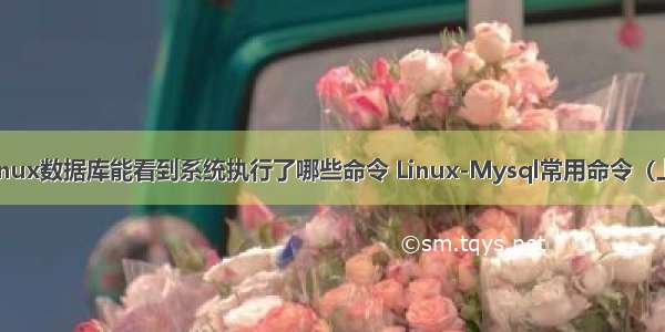 linux数据库能看到系统执行了哪些命令 Linux-Mysql常用命令（上）