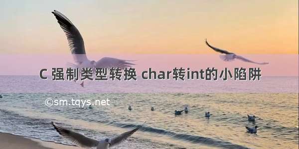 C 强制类型转换 char转int的小陷阱