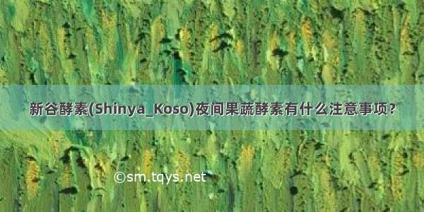 新谷酵素(Shinya_Koso)夜间果蔬酵素有什么注意事项？