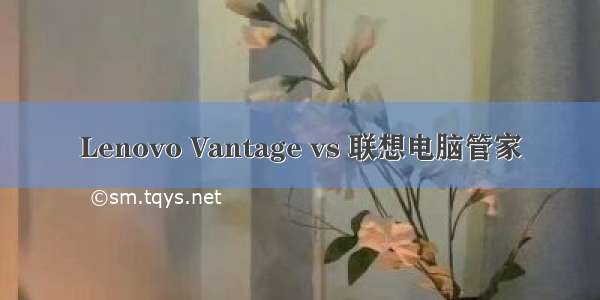 Lenovo Vantage vs 联想电脑管家