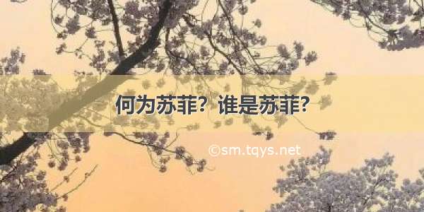 何为苏菲？谁是苏菲?