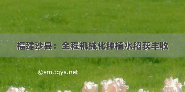 福建沙县：全程机械化种植水稻获丰收