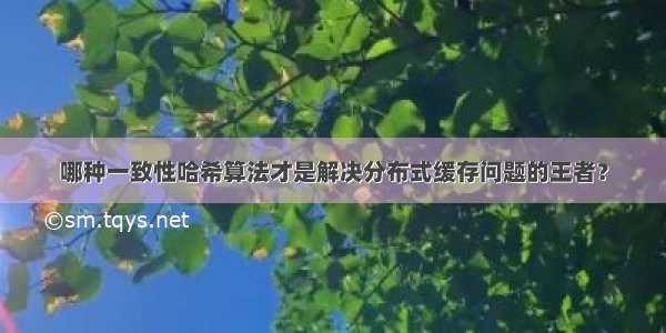 哪种一致性哈希算法才是解决分布式缓存问题的王者？