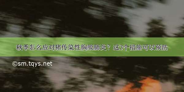 秋季怎么应对猪传染性胸膜肺炎？这3个措施可以预防