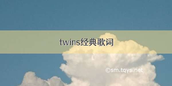 twins经典歌词