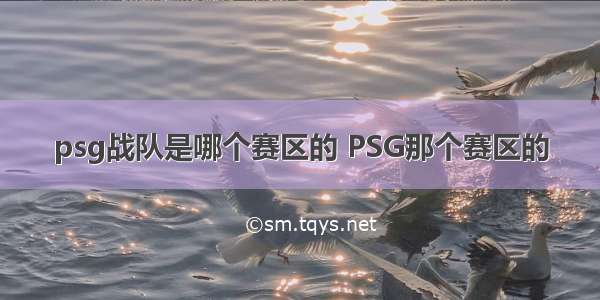 psg战队是哪个赛区的 PSG那个赛区的