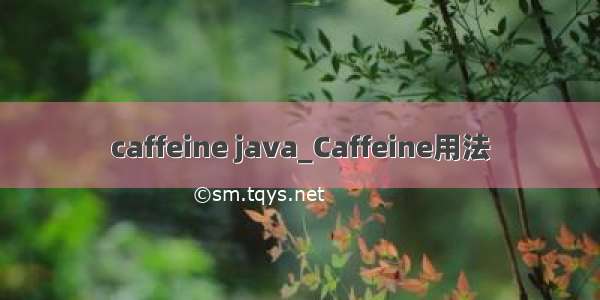 caffeine java_Caffeine用法