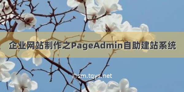 企业网站制作之PageAdmin自助建站系统