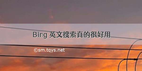 Bing 英文搜索真的很好用