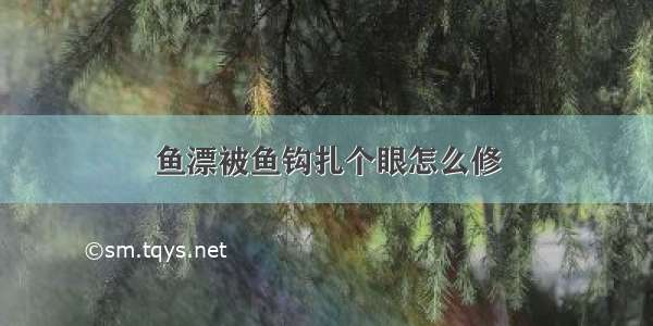 鱼漂被鱼钩扎个眼怎么修