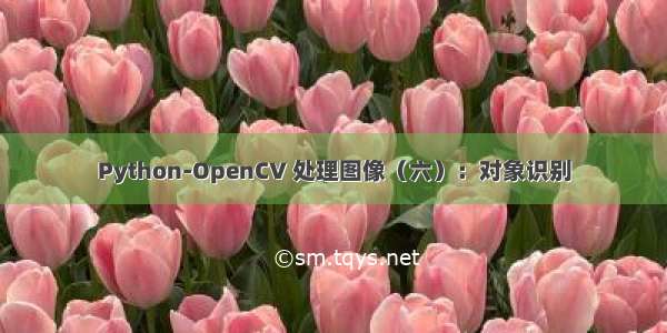 Python-OpenCV 处理图像（六）：对象识别