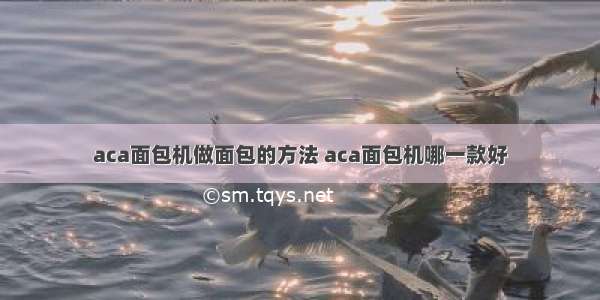 aca面包机做面包的方法 aca面包机哪一款好