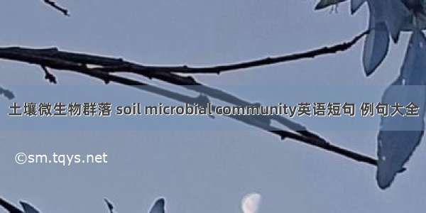 土壤微生物群落 soil microbial community英语短句 例句大全
