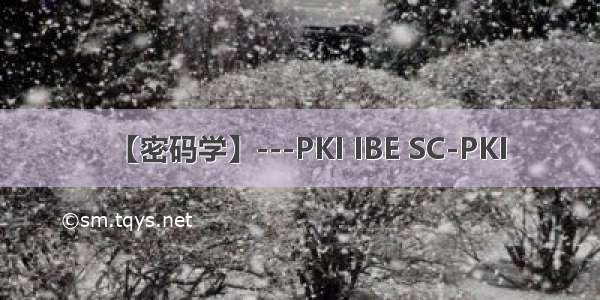 【密码学】---PKI IBE SC-PKI