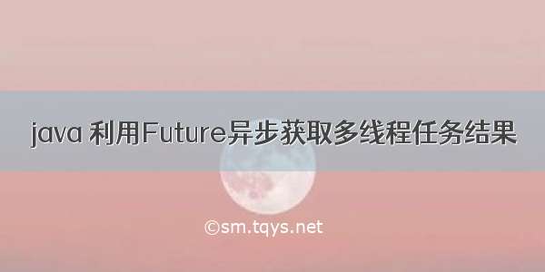 java 利用Future异步获取多线程任务结果