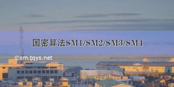 国密算法SM1/SM2/SM3/SM4