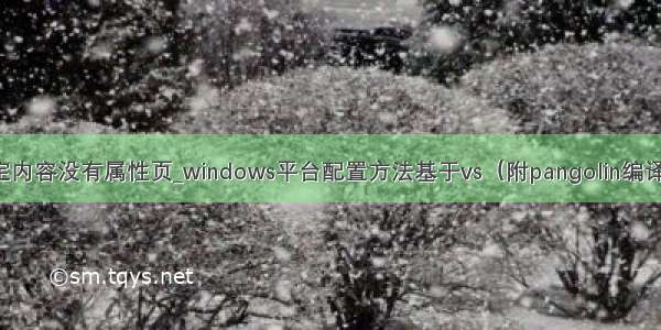 vs选定内容没有属性页_windows平台配置方法基于vs（附pangolin编译教程）