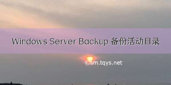 Windows Server Backup 备份活动目录