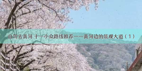 自驾去黄河 十一小众路线推荐——黄河边的景观大道（1）