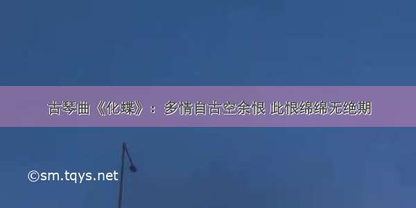 古琴曲《化蝶》：多情自古空余恨 此恨绵绵无绝期