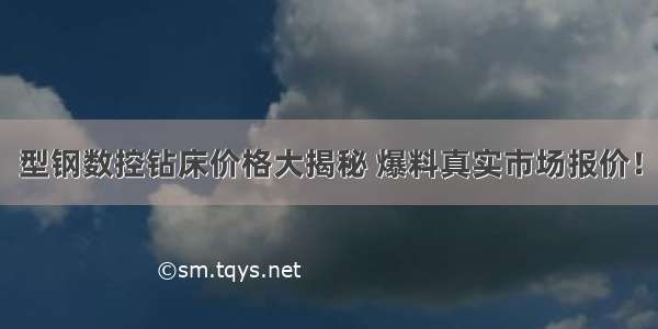 型钢数控钻床价格大揭秘 爆料真实市场报价！