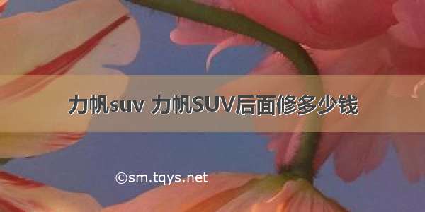 力帆suv 力帆SUV后面修多少钱