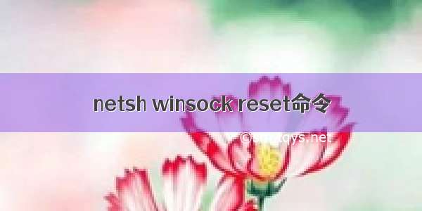 netsh winsock reset命令